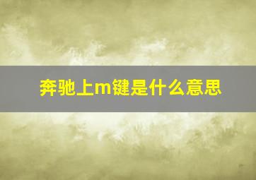 奔驰上m键是什么意思