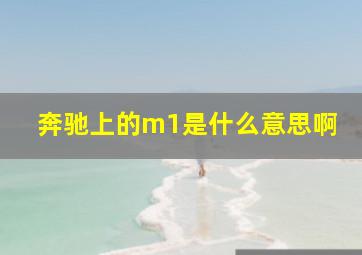 奔驰上的m1是什么意思啊