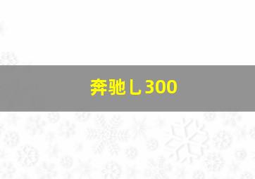 奔驰乚300