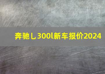 奔驰乚300l新车报价2024