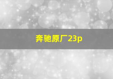 奔驰原厂23p