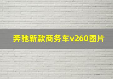 奔驰新款商务车v260图片