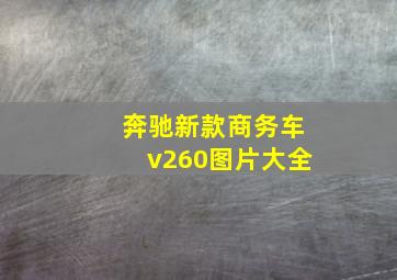 奔驰新款商务车v260图片大全