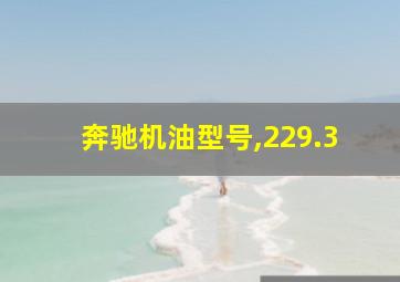 奔驰机油型号,229.3