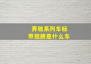 奔驰系列车标带翅膀是什么车