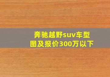 奔驰越野suv车型图及报价300万以下