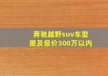 奔驰越野suv车型图及报价300万以内