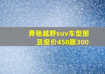 奔驰越野suv车型图及报价450跟300