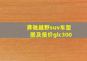 奔驰越野suv车型图及报价glc300