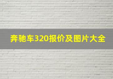 奔驰车320报价及图片大全