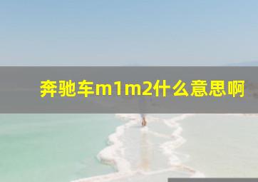 奔驰车m1m2什么意思啊