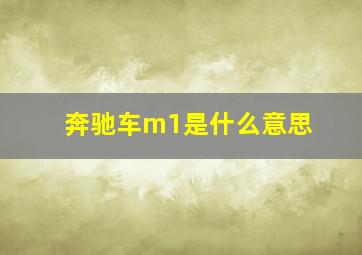 奔驰车m1是什么意思