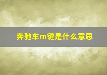 奔驰车m键是什么意思