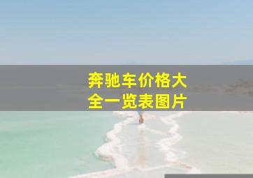 奔驰车价格大全一览表图片