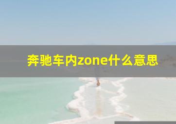 奔驰车内zone什么意思