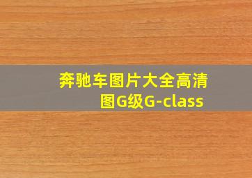 奔驰车图片大全高清图G级G-class