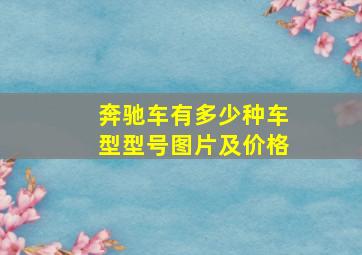 奔驰车有多少种车型型号图片及价格