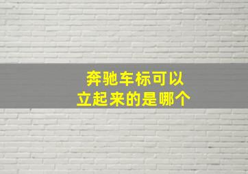 奔驰车标可以立起来的是哪个