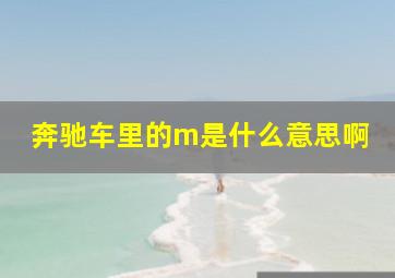 奔驰车里的m是什么意思啊