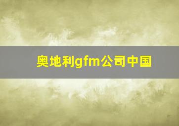 奥地利gfm公司中国