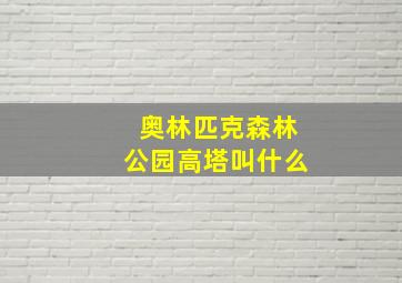 奥林匹克森林公园高塔叫什么