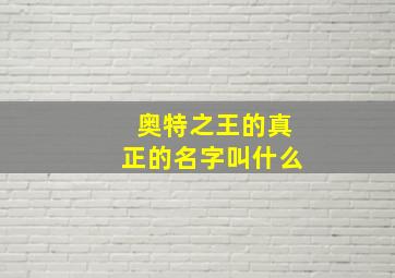 奥特之王的真正的名字叫什么