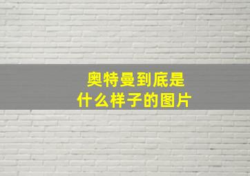 奥特曼到底是什么样子的图片