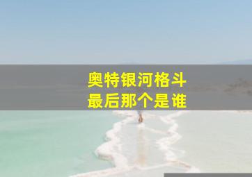 奥特银河格斗最后那个是谁