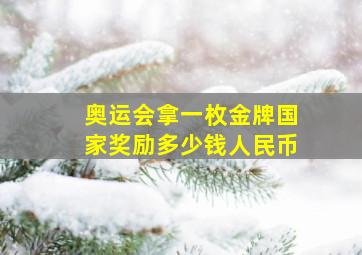 奥运会拿一枚金牌国家奖励多少钱人民币