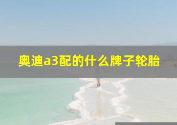 奥迪a3配的什么牌子轮胎