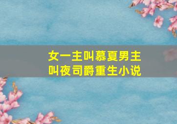 女一主叫慕夏男主叫夜司爵重生小说