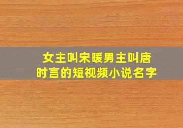 女主叫宋暖男主叫唐时言的短视频小说名字