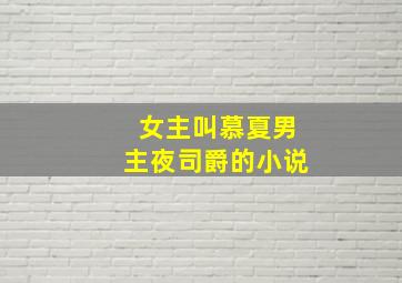 女主叫慕夏男主夜司爵的小说