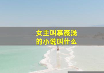 女主叫慕薇浅的小说叫什么