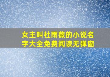 女主叫杜雨薇的小说名字大全免费阅读无弹窗