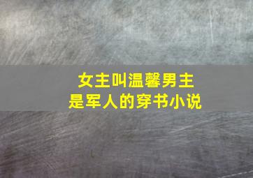 女主叫温馨男主是军人的穿书小说