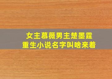 女主慕薇男主楚墨霆重生小说名字叫啥来着