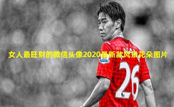 女人最旺财的微信头像2020最新款风景花朵图片