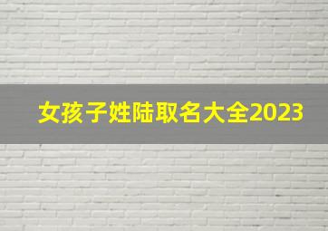 女孩子姓陆取名大全2023