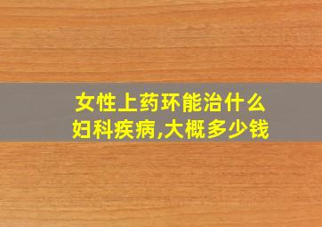 女性上药环能治什么妇科疾病,大概多少钱