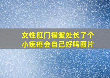 女性肛门褶皱处长了个小疙瘩会自己好吗图片