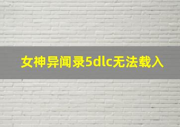 女神异闻录5dlc无法载入