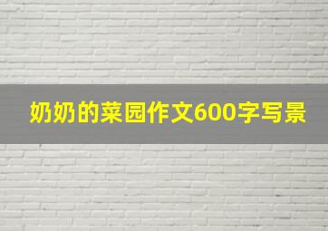 奶奶的菜园作文600字写景