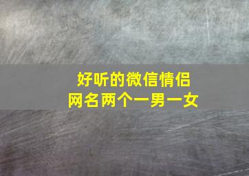 好听的微信情侣网名两个一男一女