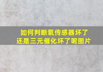 如何判断氧传感器坏了还是三元催化坏了呢图片