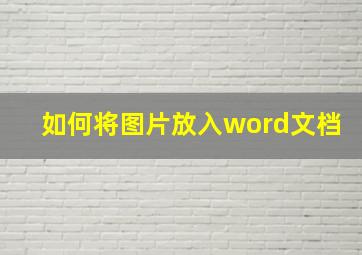 如何将图片放入word文档