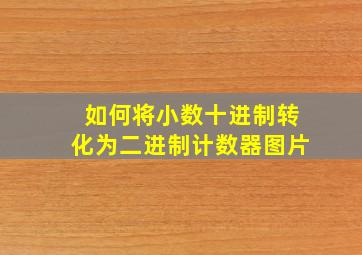 如何将小数十进制转化为二进制计数器图片