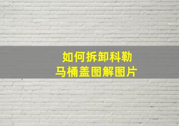 如何拆卸科勒马桶盖图解图片