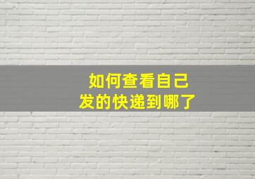 如何查看自己发的快递到哪了