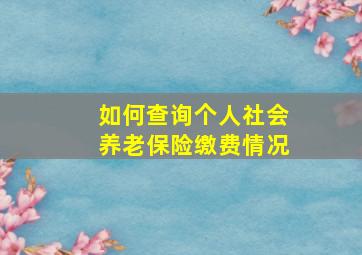 如何查询个人社会养老保险缴费情况